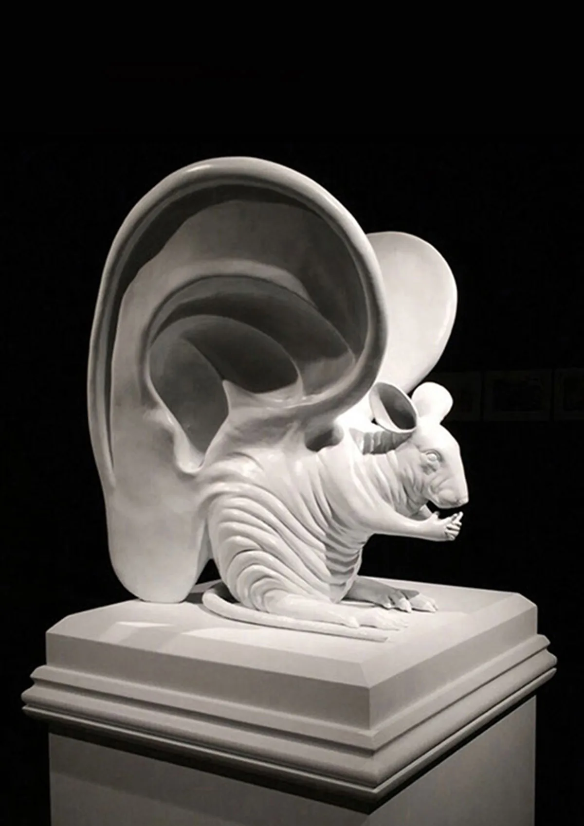 Vacanti Mouse